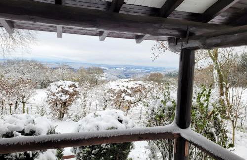 Ferienhaus Vogelsbergblick, Fernblick, Sauna, Kamin, 1700m eingezäunt in Alleinlage - Foto 19