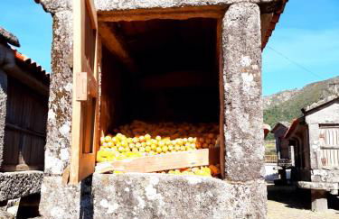 Casa da Fichua - Foto 35