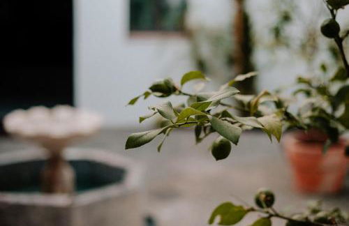 Casa del Cardenal - Foto 13