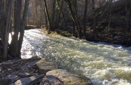 El enebrón - Hoces del río Duratón - Foto 21