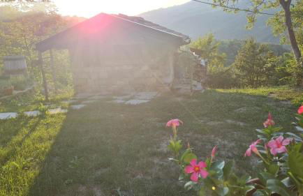 Tana della Lavanda - Photo 60