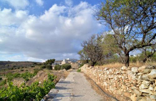 George Farmhouse - Foto 49