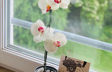 Ferienwohnung Munchen - Foto 7