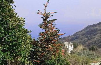 Anastasia s Cottage in Pelion - Foto 53
