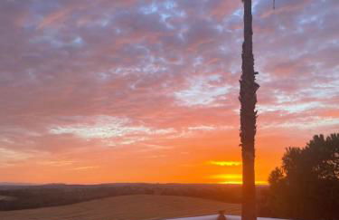 Monte de Bordalos - Foto 72