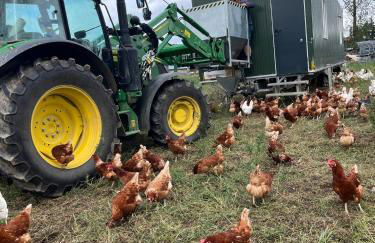 Landkulturhof Glücksbringer - Foto 10