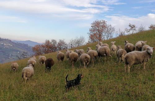 Agriturismo La Vecchia Fontana - Photo 52