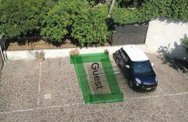 Pictadomus-viridis - Foto 23