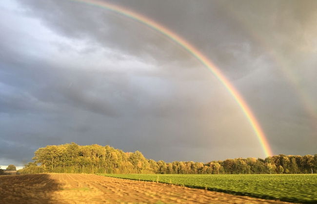 Stone House in Hamoir With Private Pool - Foto 34