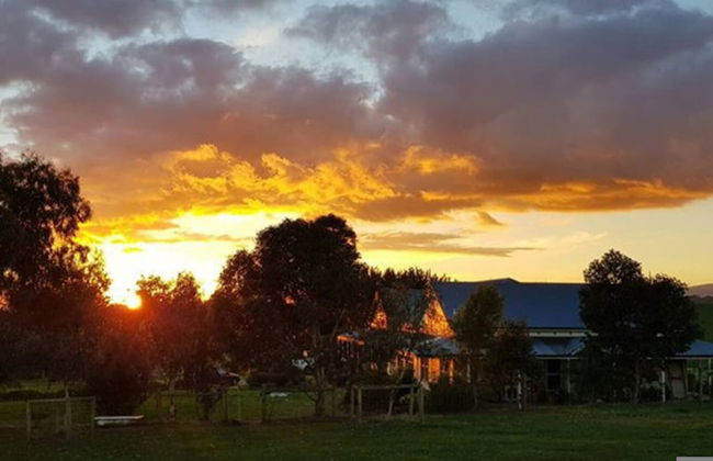 Jilly Park Farm Interactive Experience - Foto 21