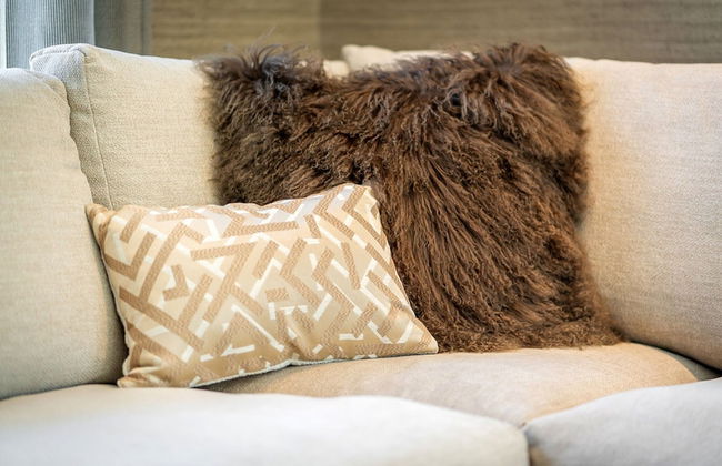 Pet-friendly Villa With Sauna - Foto 8