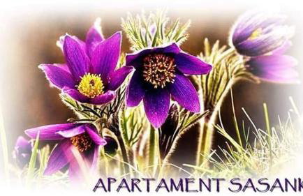 Apartament Sasanka - Foto 34