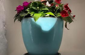 Trullo Matilde - Foto 22