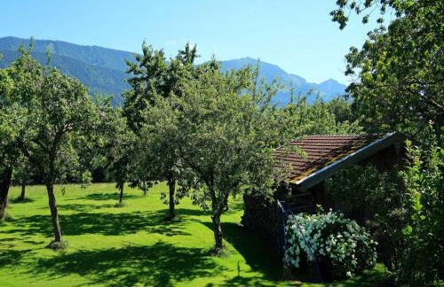 Beim Grafen - Foto 7