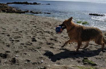 dog friendly nancecliff cottages - Foto 33