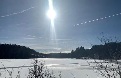 BergOase-Apart am Feldberg - Foto 49