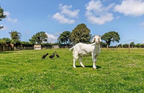 2 Bed in Callington oc-tyler - Foto 19