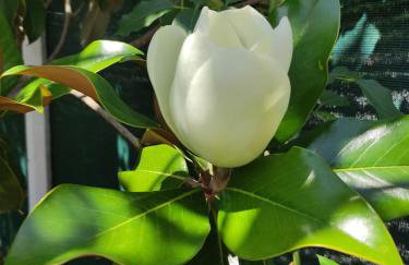 Katerina's Countryside and Sea House - Foto 26