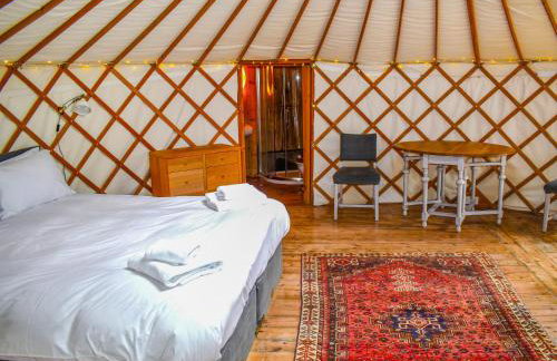 Russet Yurt - Ukc6945 - Foto 6
