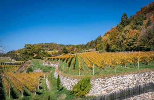 Steindlgut - Weinberg Chalets - Foto 49