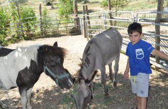 Farm stay Il Carro del Colle - Foto 24