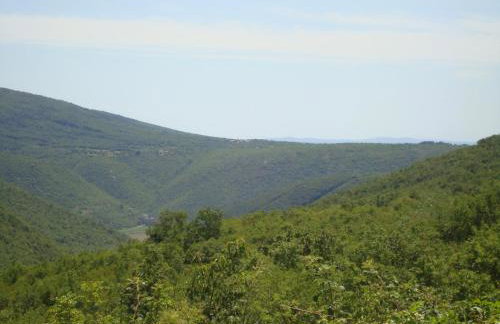 Holiday house with a parking space Mali Turini (Central Istria - Sredisnja Istra) - 14136 - Foto 20