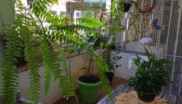 Pertinho da Mata - Foto 5