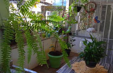 Pertinho da Mata - Foto 5