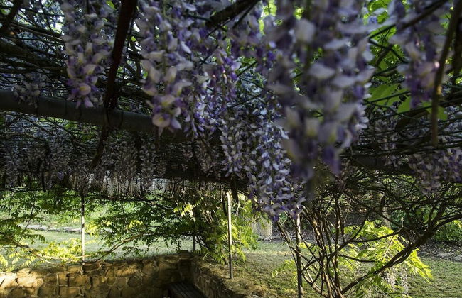 Villa Sinfonia - Villa Sinfonia - Photo 61