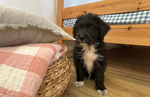 Casa Julián - Foto 41