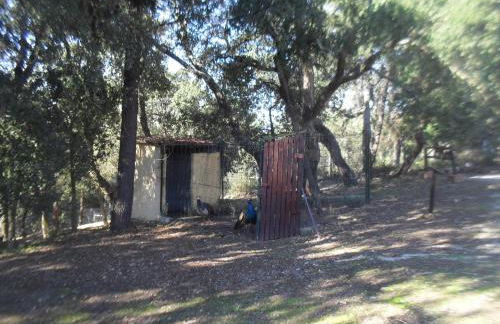 Quinta do Outeiro Alto - Foto 44