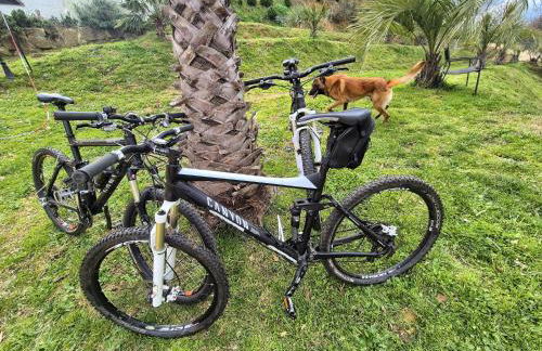 Tenuta Lunoa - Photo 31