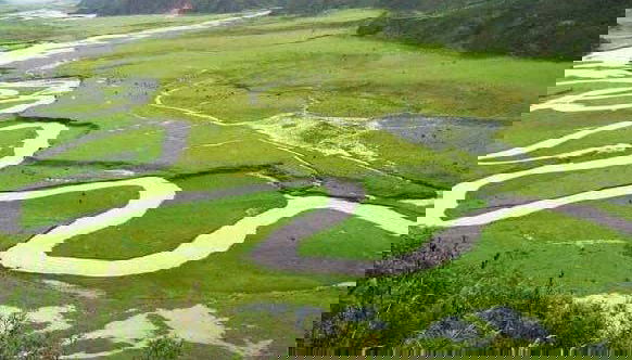 Il serpente d'argento