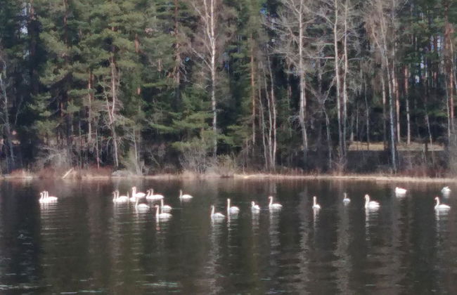 Le club 44 - Photo 52