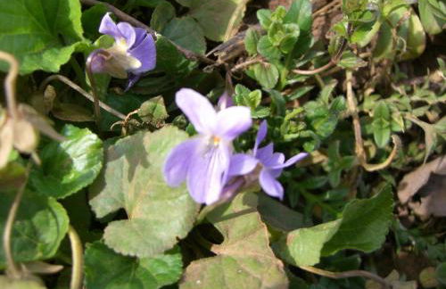 Lieblingsnest Detmold - Foto 65