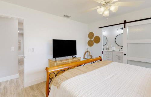 Palm Dreams - Foto 11