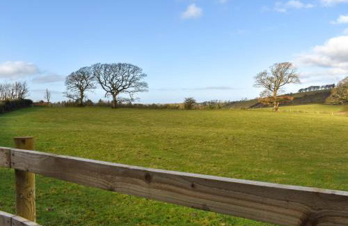 Meadows View Shepherd's Hut - Foto 3