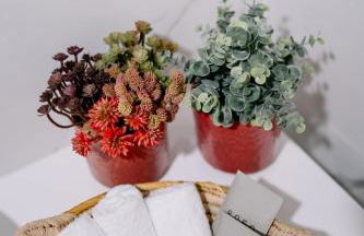 Portugal countryside retreat for remote workers and digital nomads - Foto 52