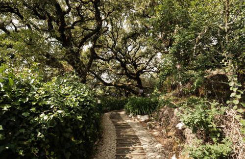 CASA DA PIA - Pia do Urso - Foto 41