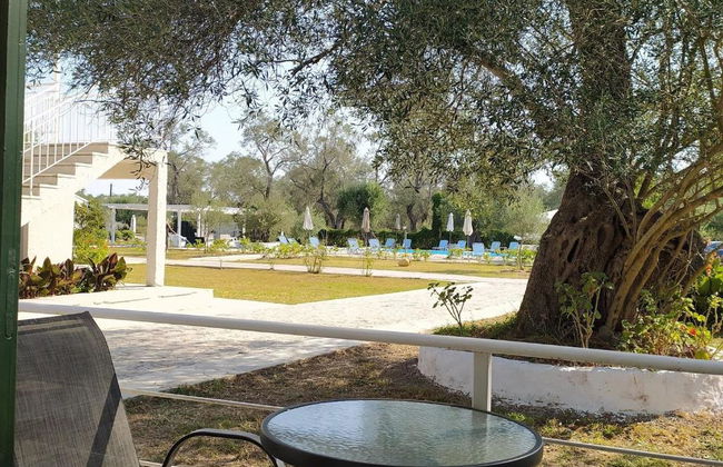 Alykes Family Resort - Photo 24