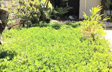 Recanto na Pampulha conforto e sossego - Foto 34