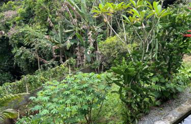 Casa em Reserva Ambiental com Piscina Privativa - Foto 21