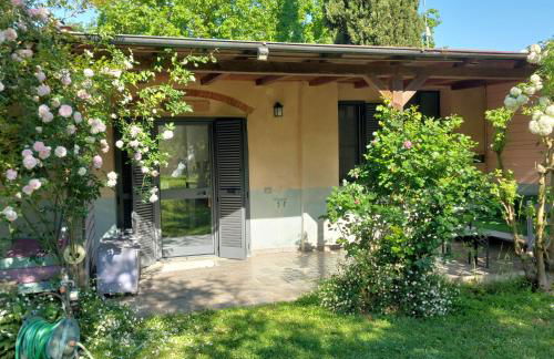 Orto delle Fate - Foto 25