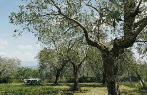 Borgo Rapale - Foto 78