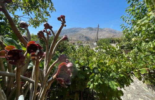 Accetto, Stone House With Pool - Foto 48