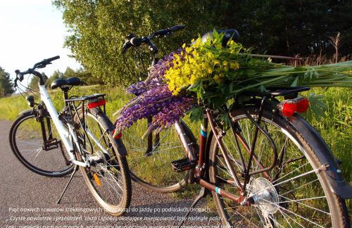 Jałówka - odpocznij na Podlasiu - Foto 7