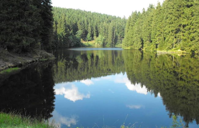 Wohnung in Wildemann Nahe Harzwald - Foto 28