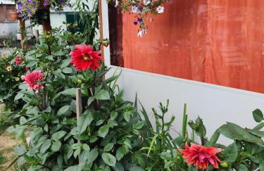 Zeleni raj - Foto 11