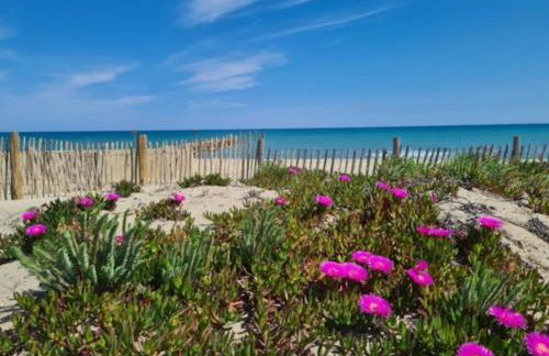 Studio cabine confortable pour 4 pers, accès plage, parking sécurisé - FR-1-529-87 - Foto 9