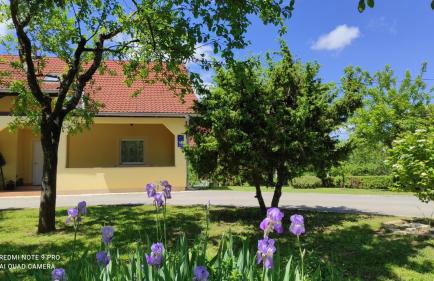 Apartment Nikolina - Foto 2